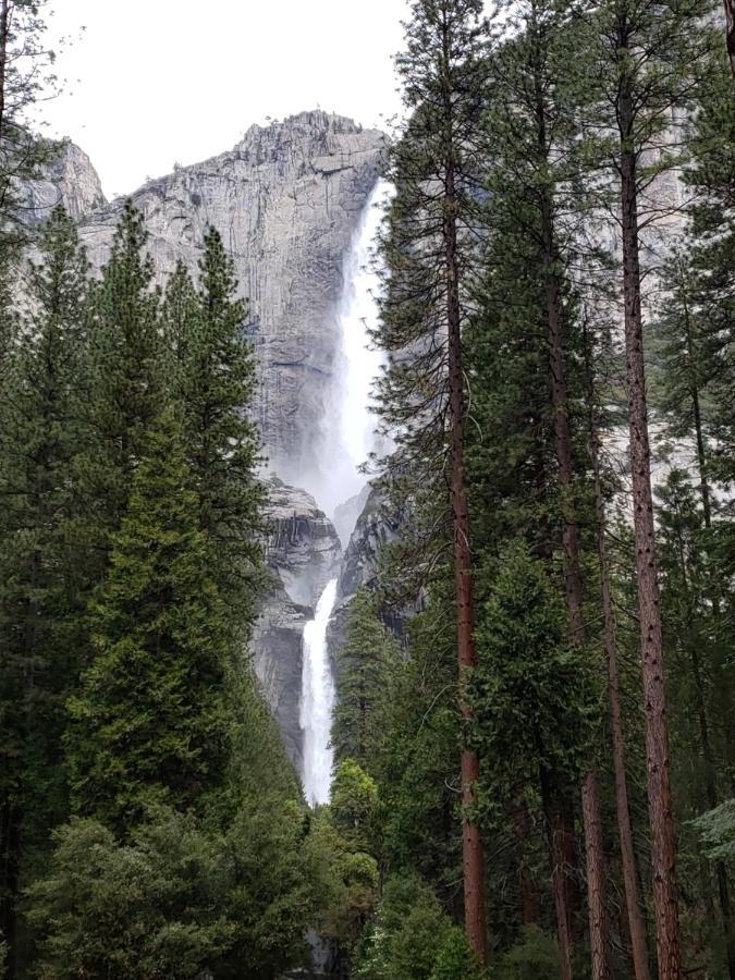 Yosemite Foothill Retreat - Private Guest Suite #2 Coarsegold Exterior photo